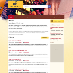 Michael Švarc - webdesign