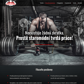 Michael Švarc - webdesign