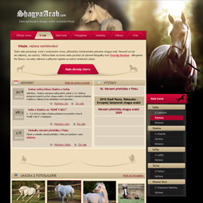 Michael Švarc - webdesign